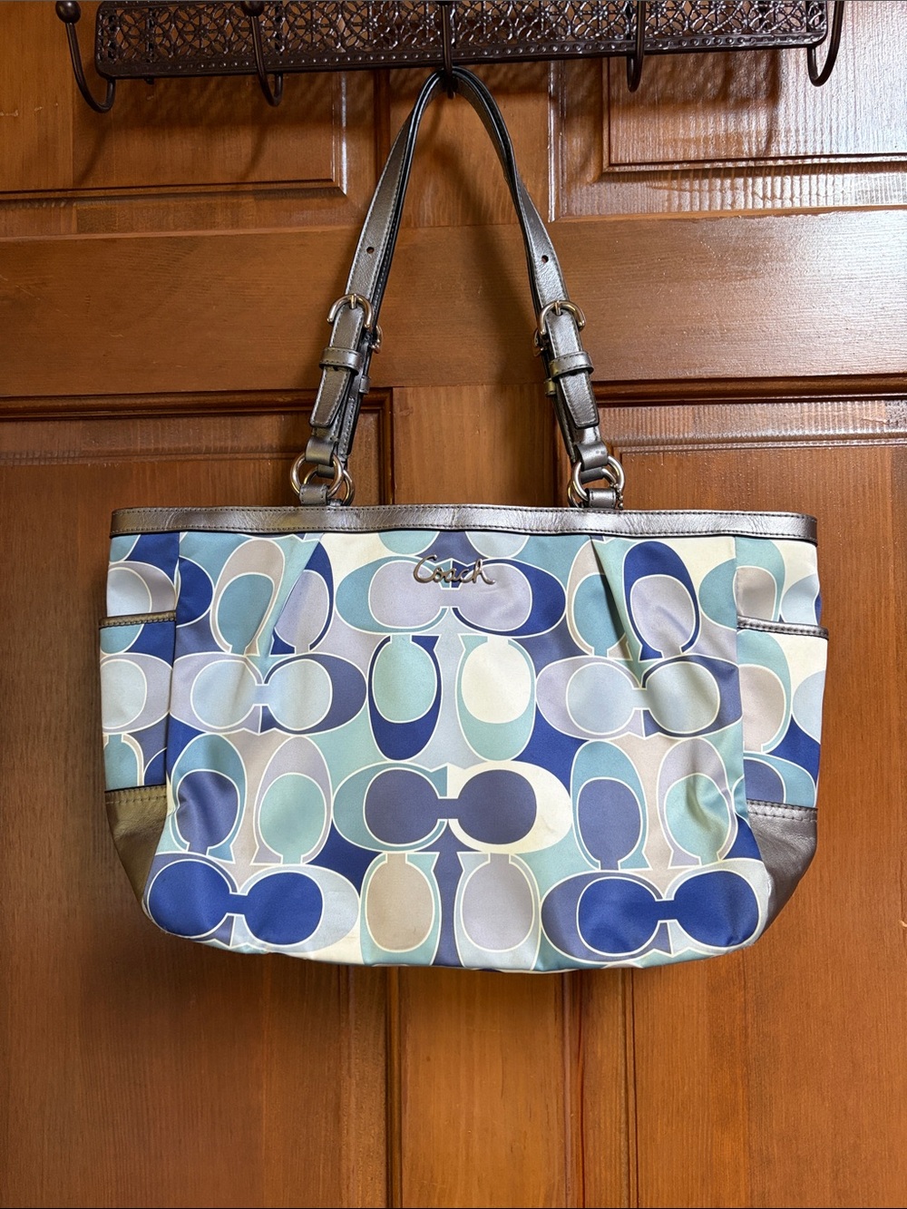 Coach Shoulder Bag in Signature Print